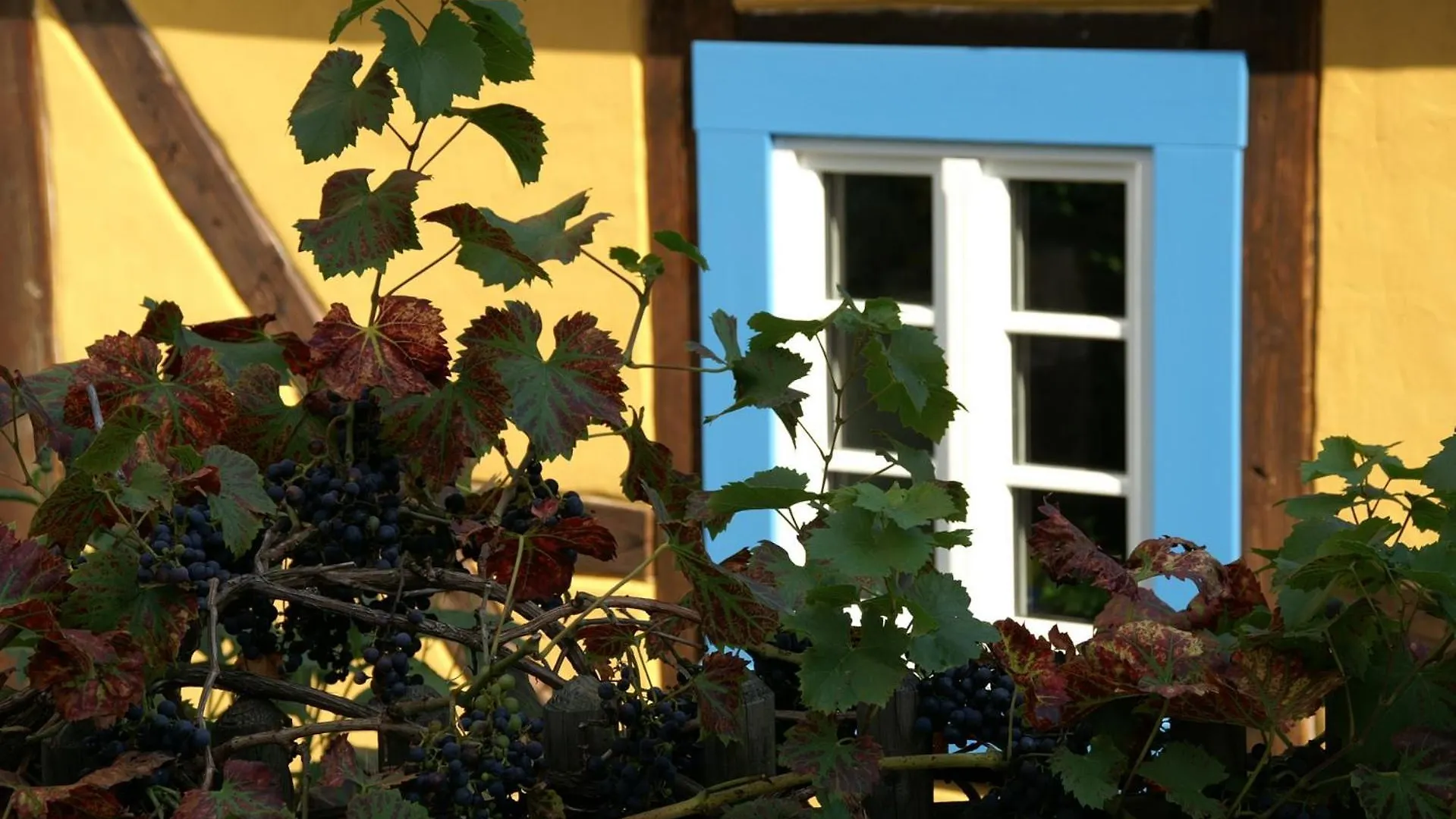 Spa-Resort Landlust In Dresden 3*,  Germany